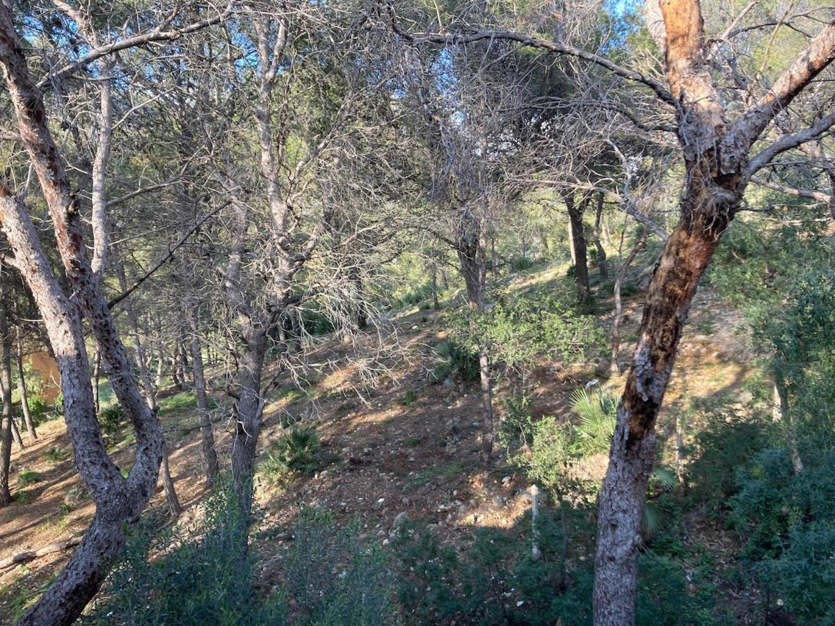 Apartamento Con Vistas Al Mar Castelldefels Buitenkant foto